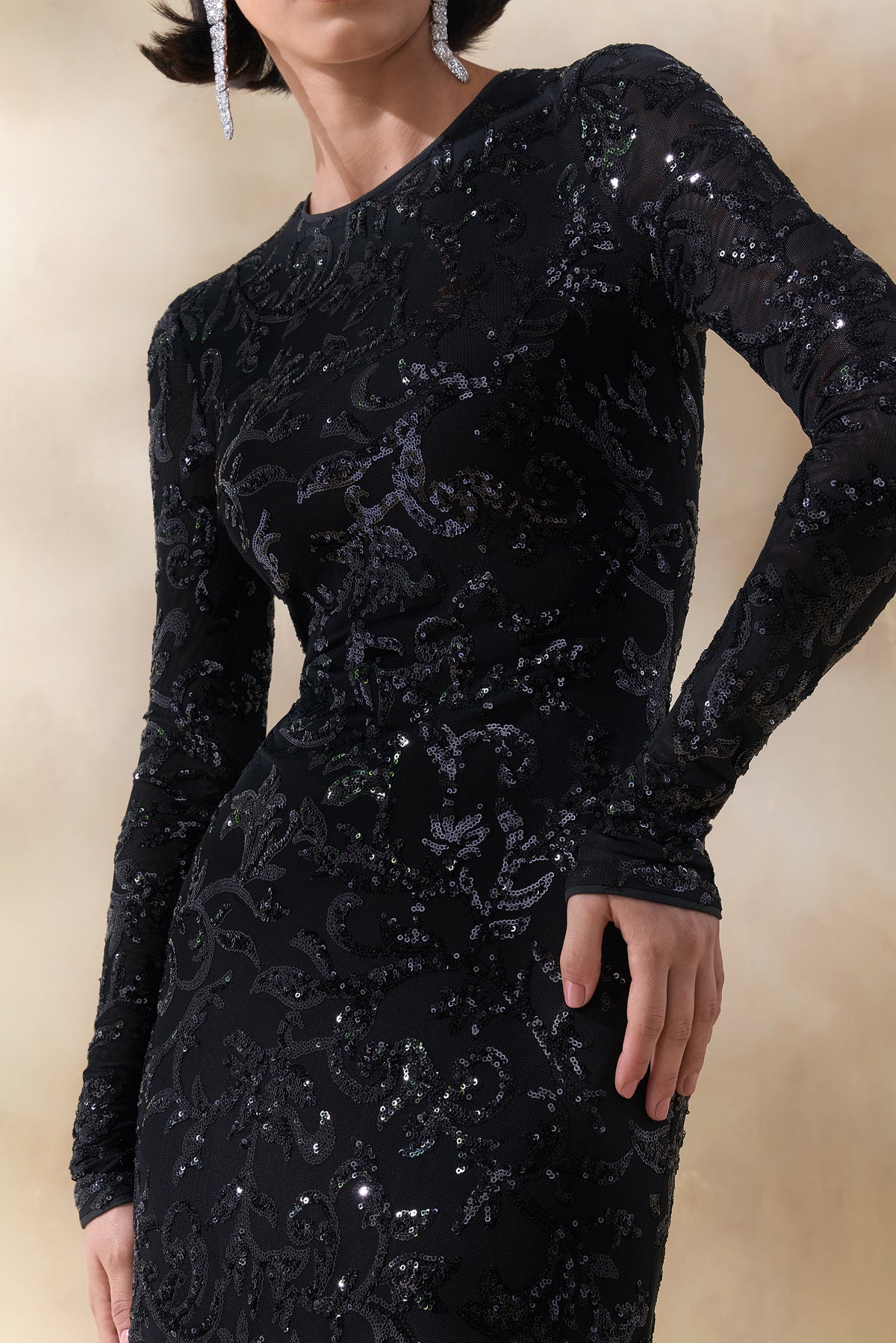ECM_HR_CL136700002 Stellar _ Black Embellished Lace High-Neck Maxi Dress With Long Sleeves 4.jpg