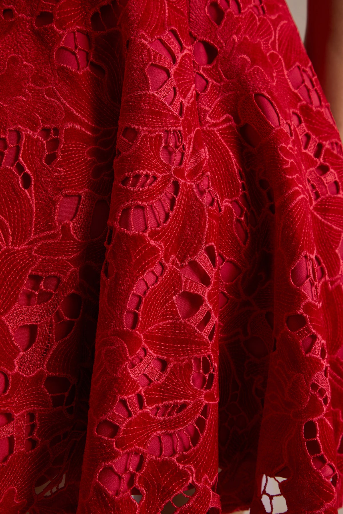 HR_CL136987004 - Roam Red Lace High-Neck Mini Dress 06.jpg