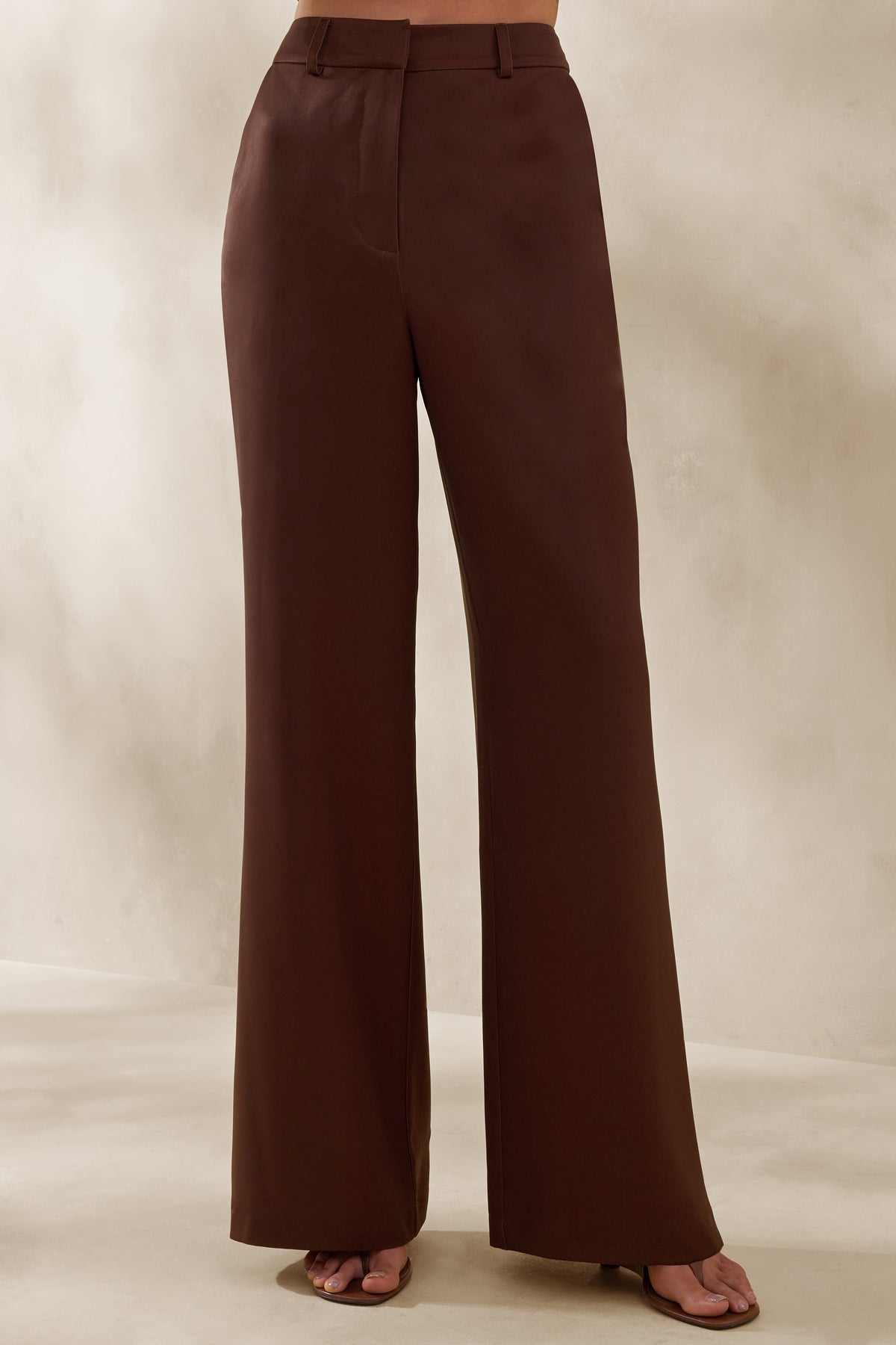 ECM_HR_CL137200022 - Seloria _ Brown Wide-Leg Trouser 1.jpg