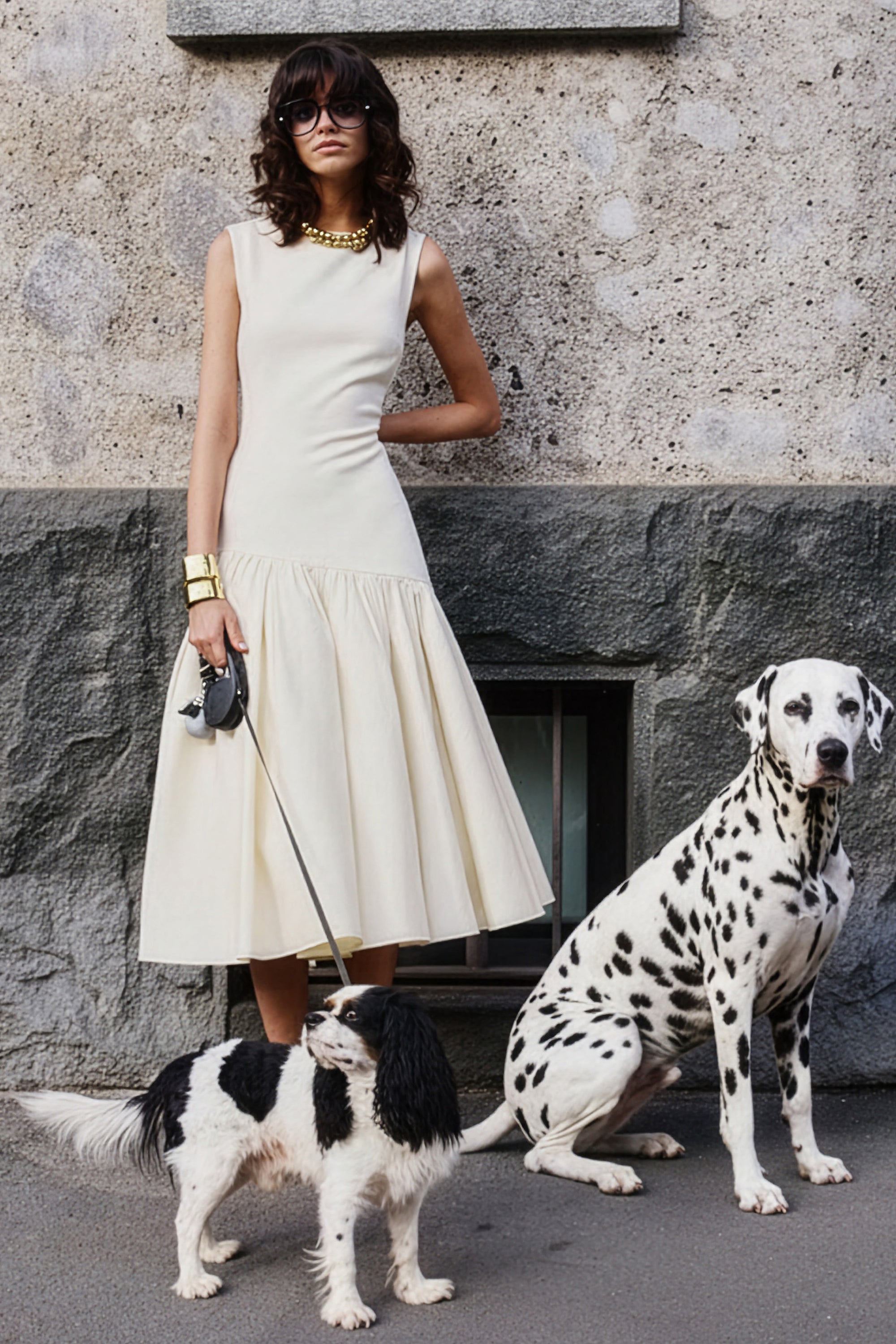 dalmatian-EDITED.jpg