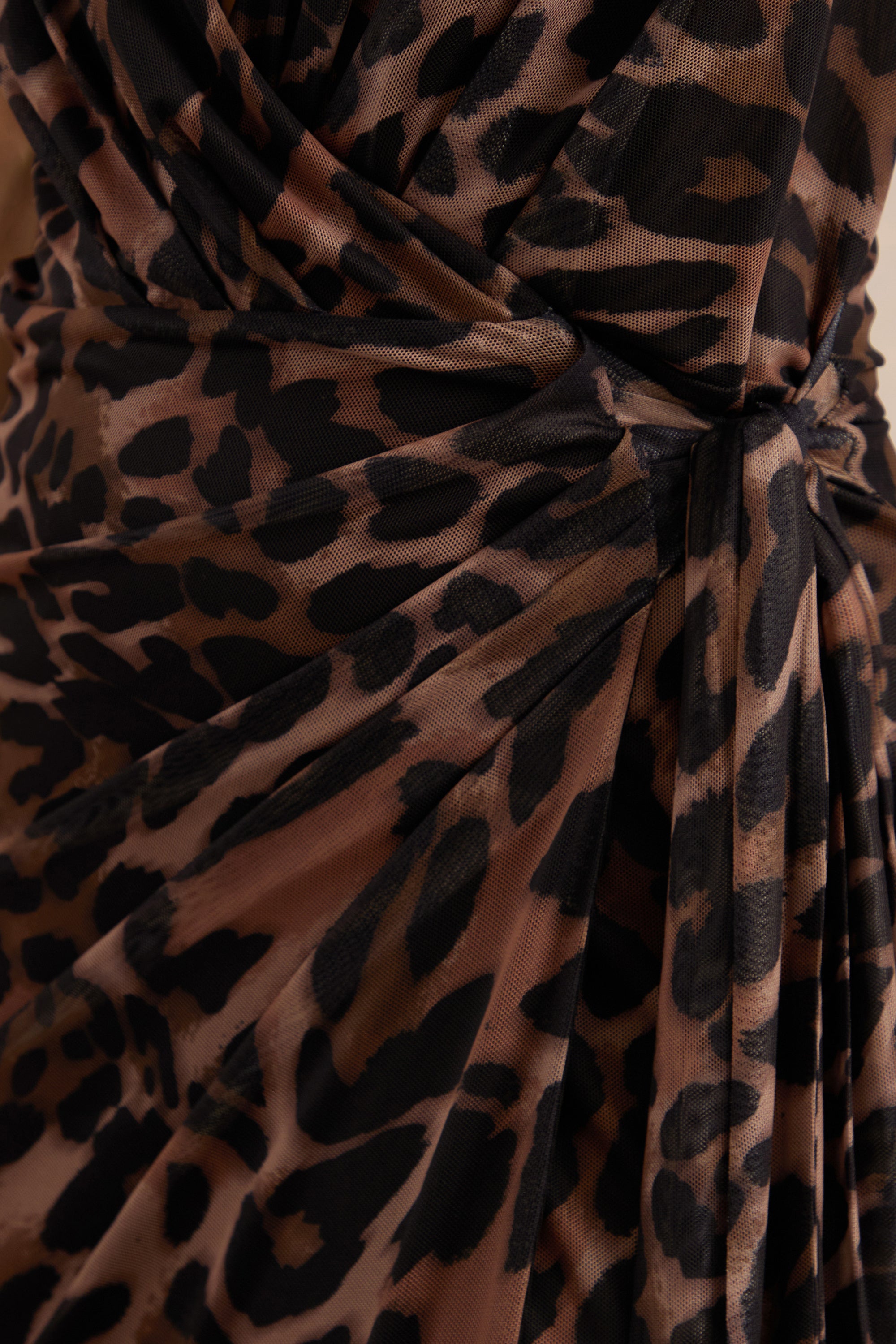 ECM_HR_CL138223021 - Anwen | Leopard Print Mesh V-Neck Maxi Dress With Front High Split 4.jpg